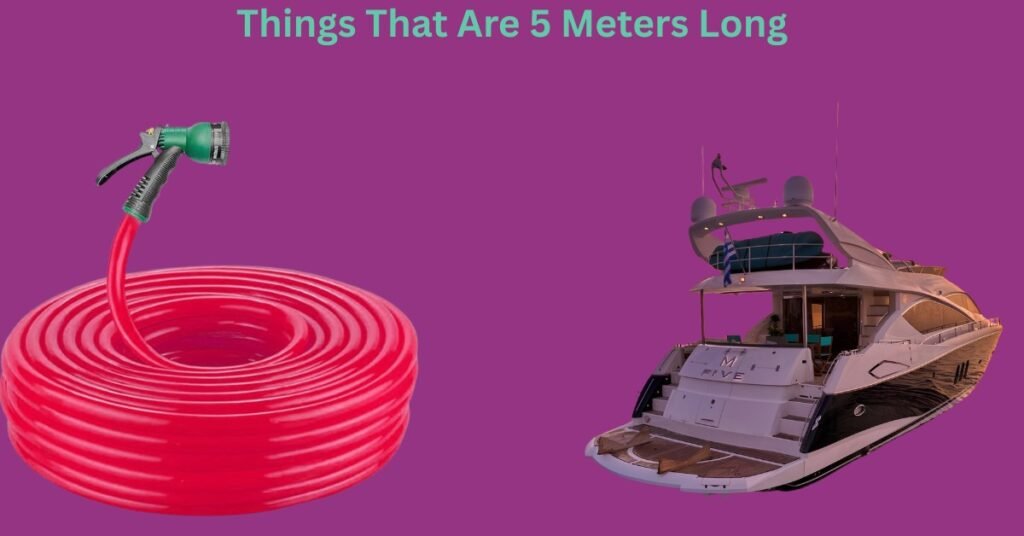 How Big Is 5 Meters