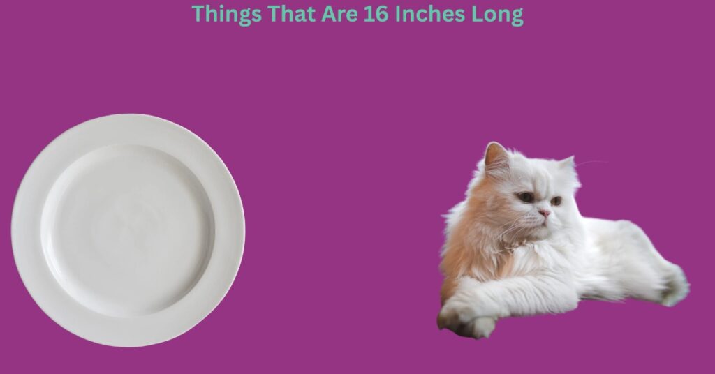 How Long Is 16 Inches