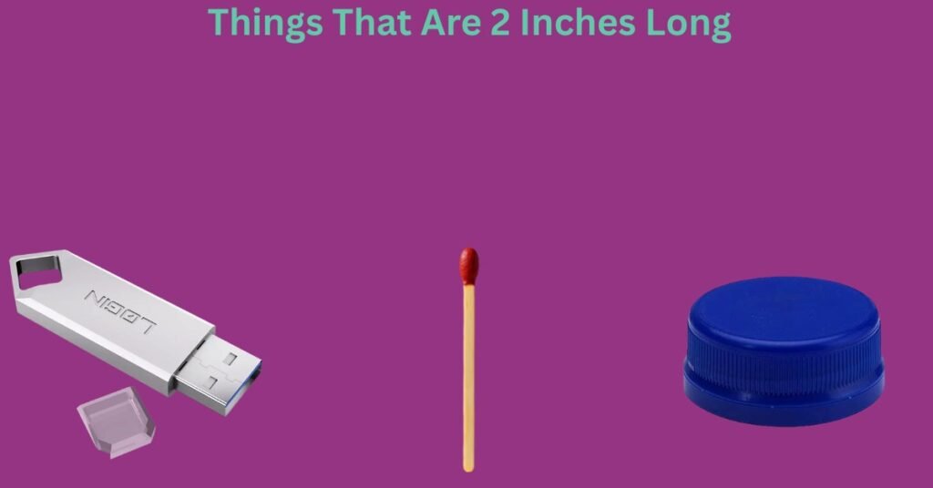 how big is 2 inches