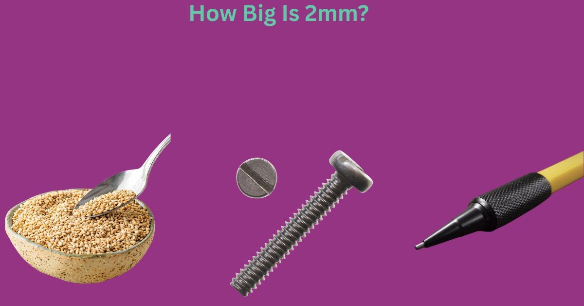 How Big Is 2mm? 10 Common Things That Are 2mm Size