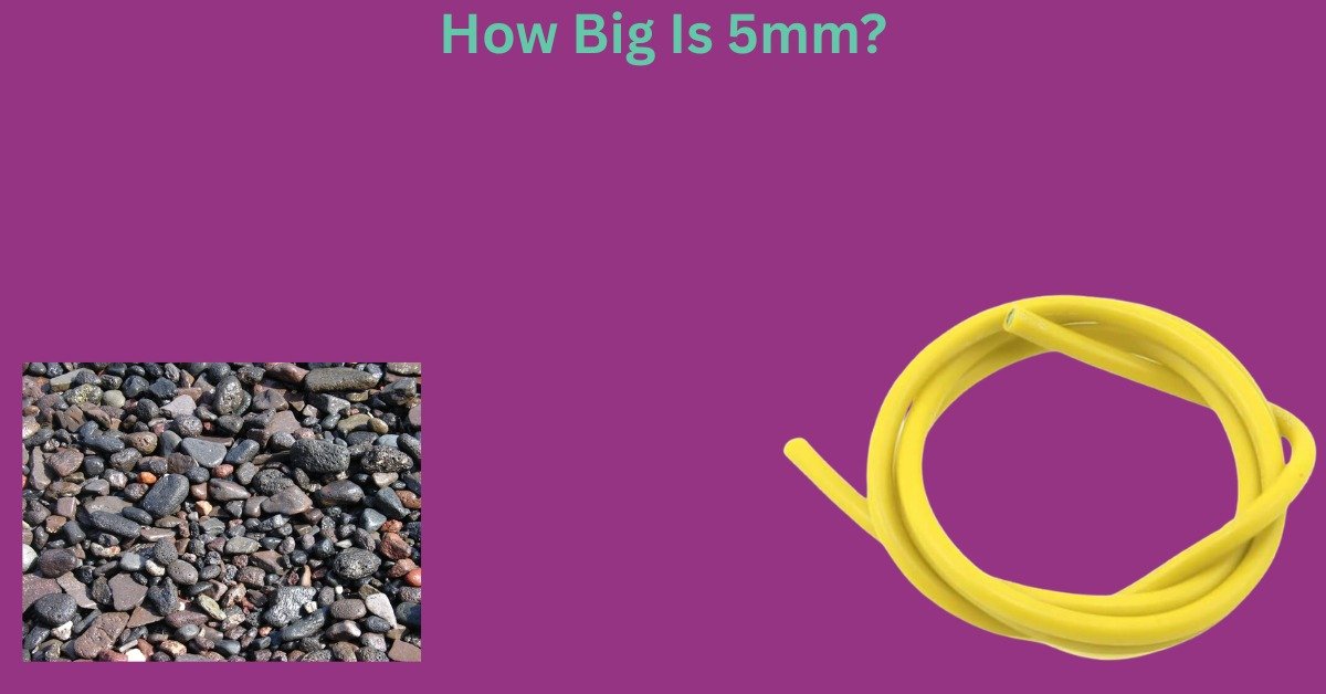 How Big Is 5mm? 9 Common Things That Are 5mm Big