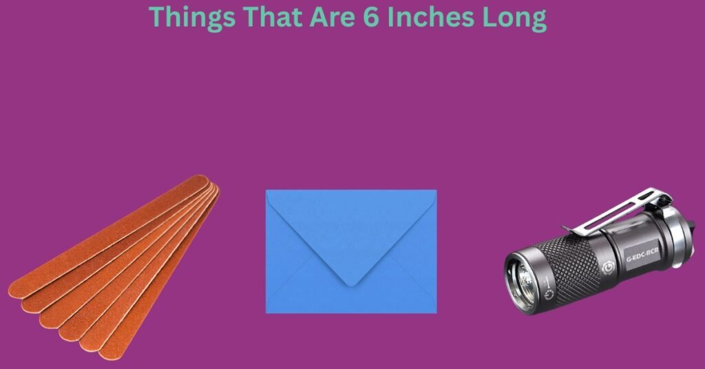 How Big Is 6 Inches