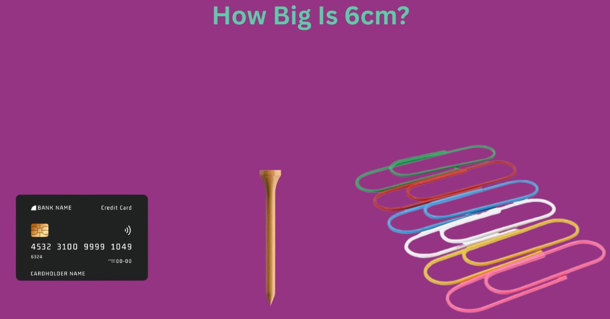 How Big Is 6cm? 10 Common Things That Are 6cm Long
