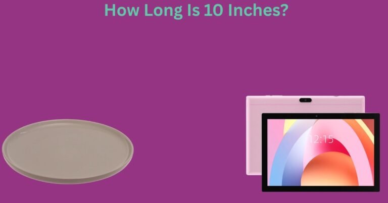 How Long Is 10 Inches? 12 Common Things That Are 10 Inches Long