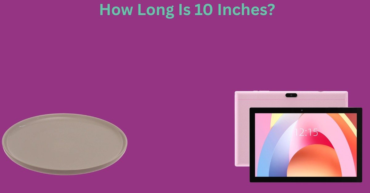 How Long Is 10 Inches? 12 Common Things That Are 10 Inches Long