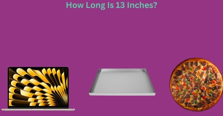 How Long Is 13 Inches? A Comprehensive Guide With Things That Are 13 Inches