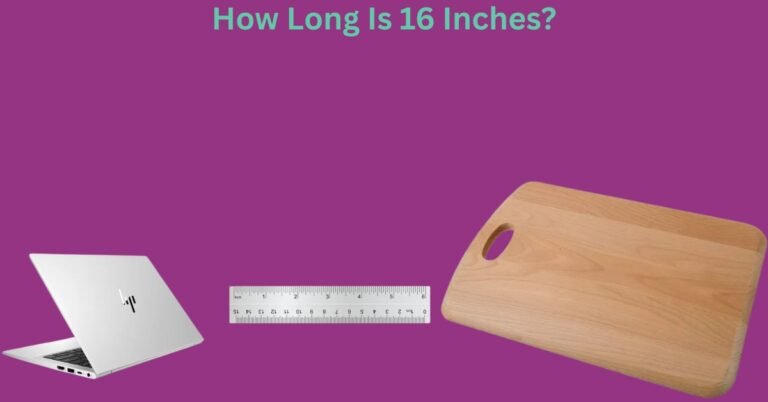 How Long Is 16 Inches? Common Things That Are 16 Inches Long