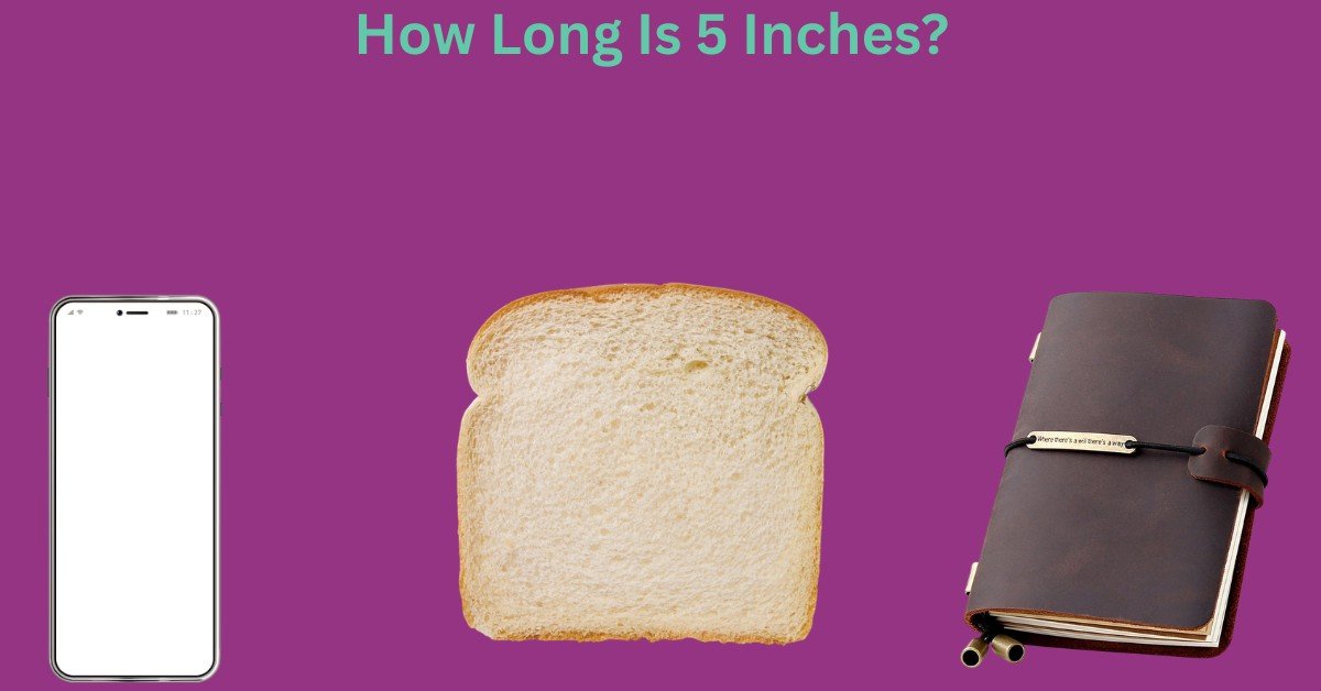 How Long Is 5 Inches? Most Common Things That Are 5 Inches Long