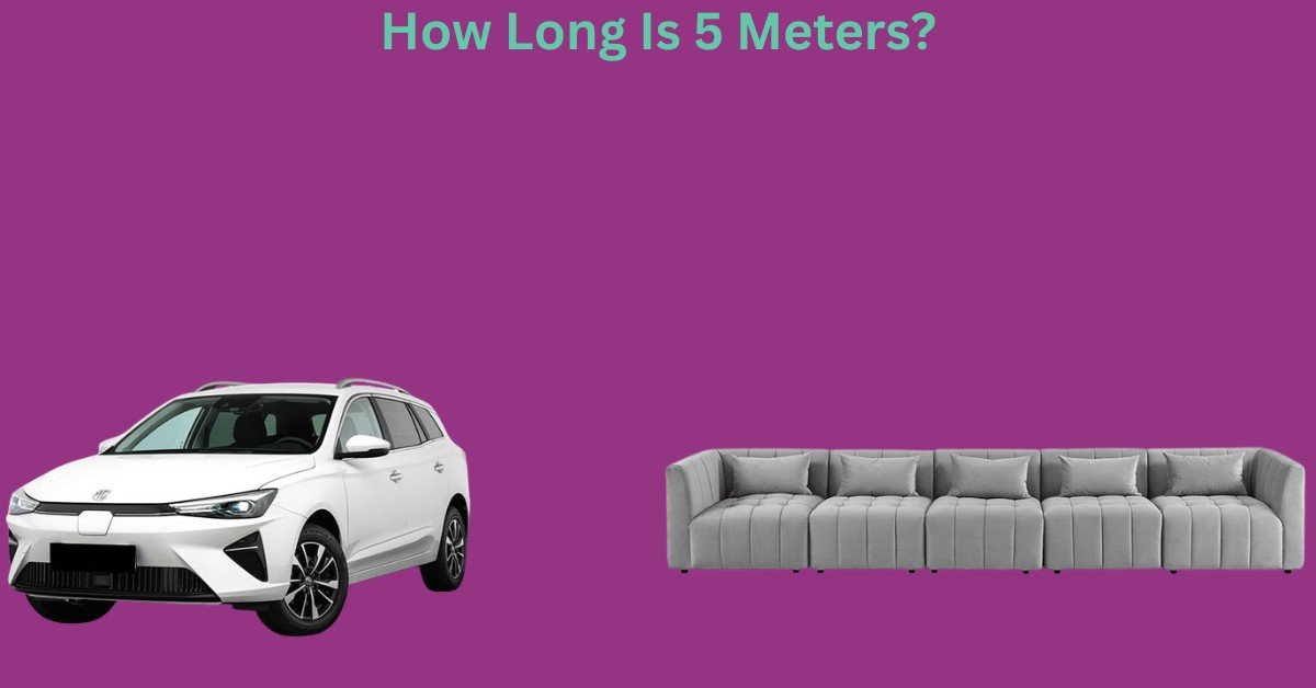 How Long Is 5 Meters? 9 Common Things That Are 5m long