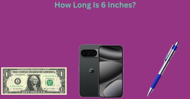 How Long Is 6 Inches? 14 Commonly Used Items That Are 6 Inches Long