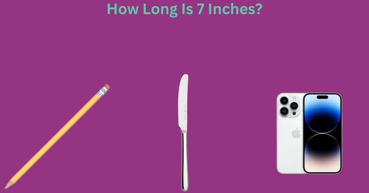 How Long Is 7 Inches? 15 Common Things That Are 7 Inches Long