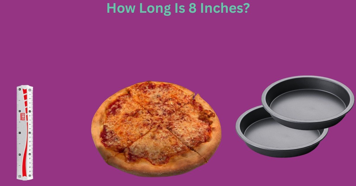 How Long Is 8 Inches? Common Things That Are 8 Inches Long