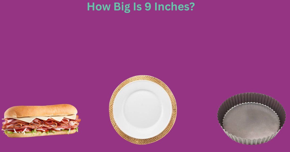 How Long Is 9 Inches? 9 Common Things That Are 9 Inches Long