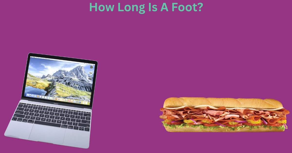 How Long Is A Foot? A Comprehensive Guide With Things That Are 1 Foot Long