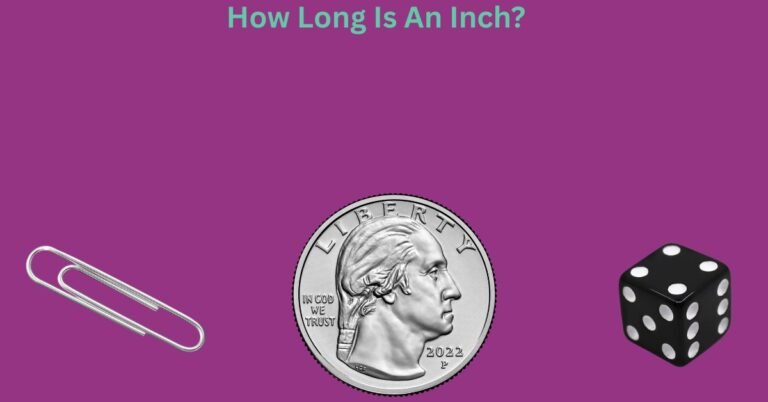 How Long Is An Inch? 10 Common Things That Are An Inch Long
