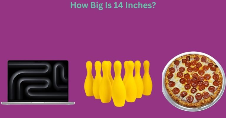 How Big Is 14 Inches? List Of Common Things That Are 14 Inches