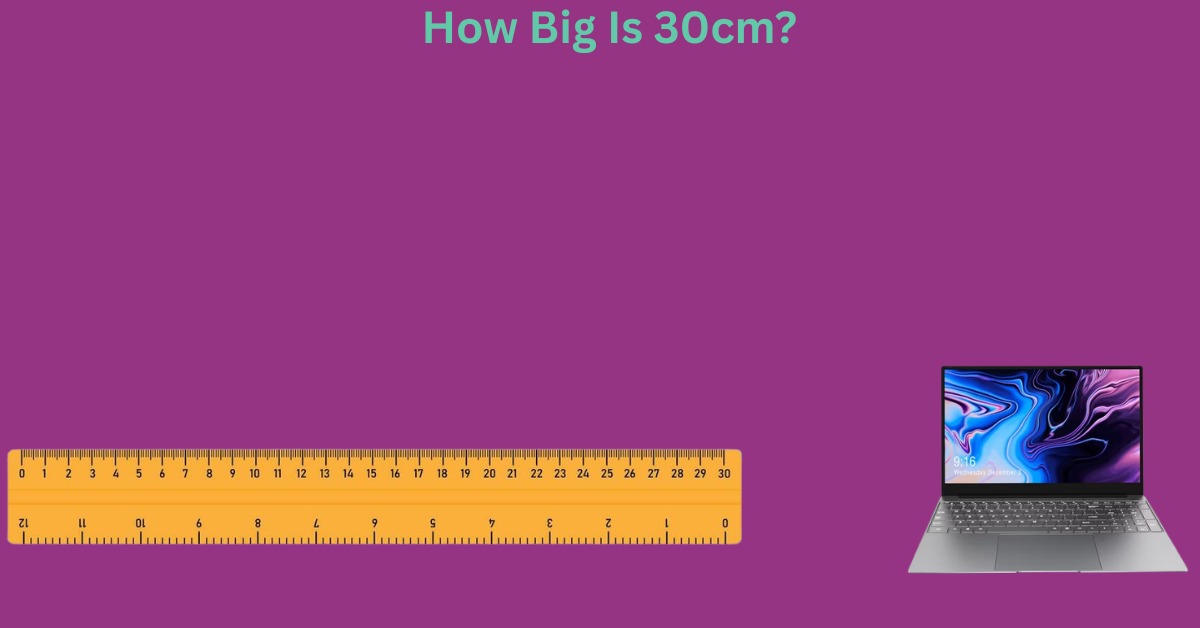 How Big Is 30cm? 10 Common Things That Are 30 cm Big