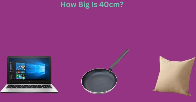 How Big Is 40cm? 10 Common Things That Are 40cm