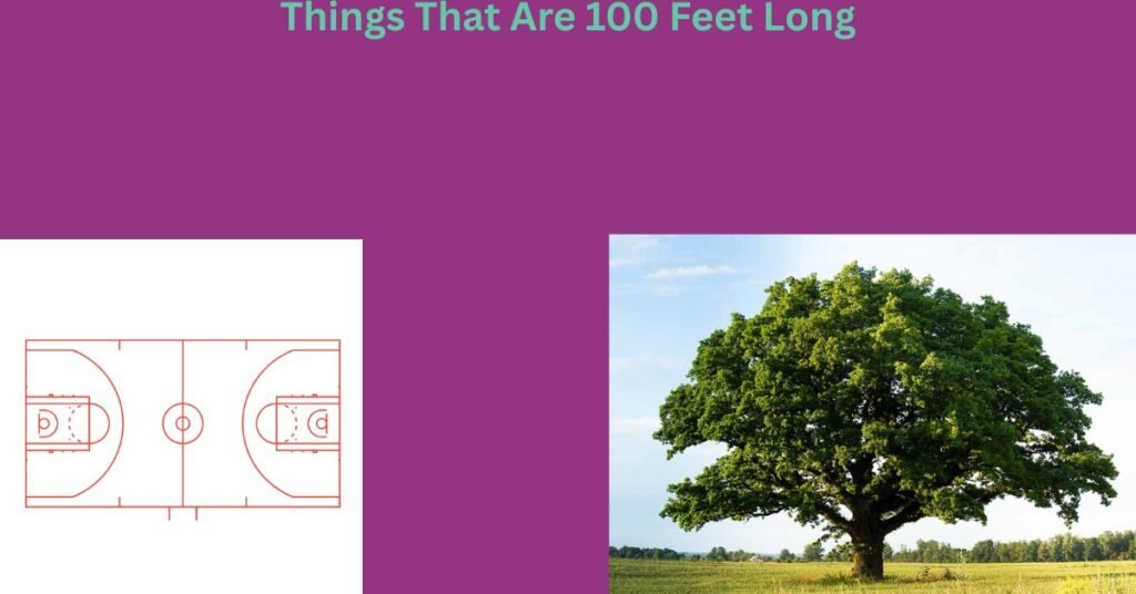 how big is 100 feet