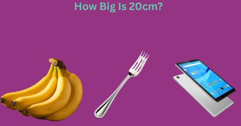 How Big Is 20cm? List Of 10 Most Common Things That Are 20cm
