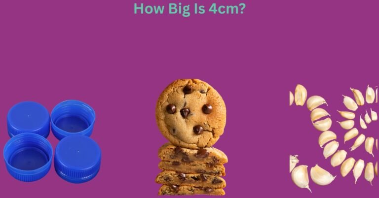 How Big Is 4cm? List Of 10 Common Things That Are 4cm Long