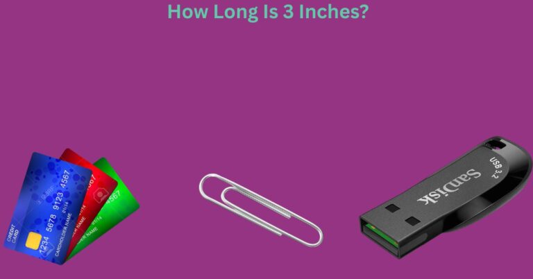 How Long Is 3 Inches? 10 Common Things That Are 3 Inches